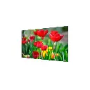 Pantalla LCD 55" para Videowall / Entrada HDMI - VGA - DVI - DP / Monitor Robusto / Bisel Delgado (3.5 mm) / Daisy Chain (Conexion en Cadena sin Software)