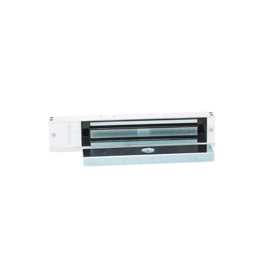 DS-K4H258S | ELECTROIMAN 300KG